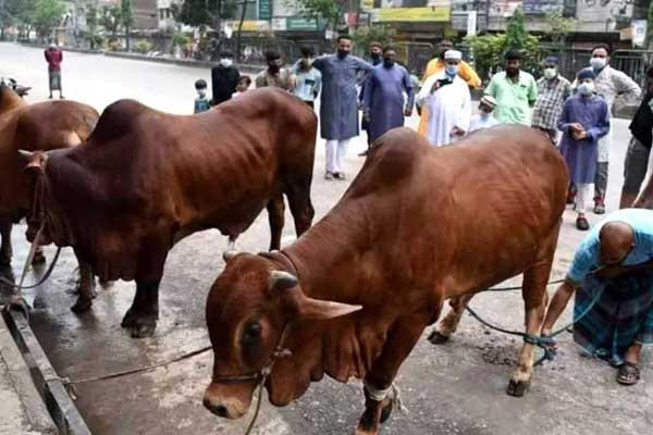 কোরবানির চামড়ার টাকা কী করবেন?